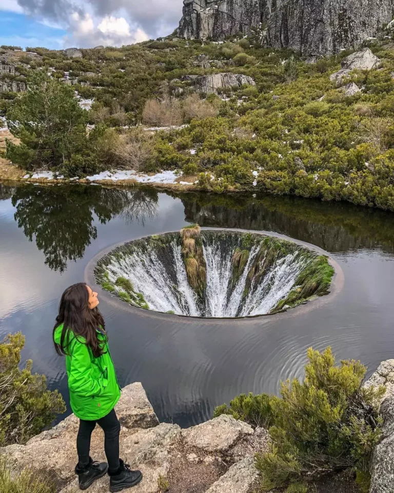 Fotos na Natureza