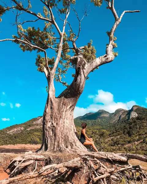 Monte Mestre Álvaro