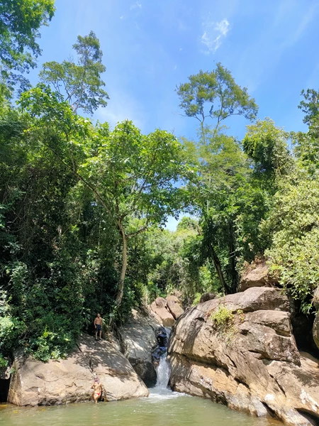 Piapitangui