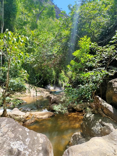 Piapitangui