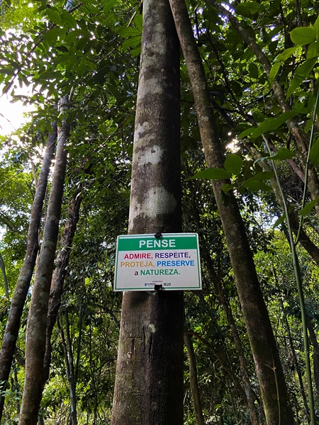 Piapitangui