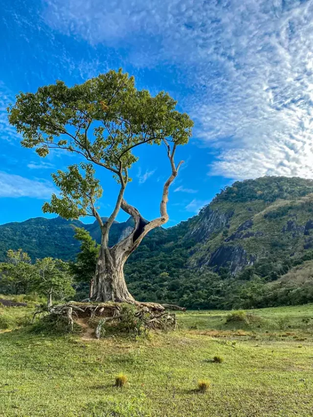 Monte Mestre Álvaro: Destino de Trilhas e Aventuras